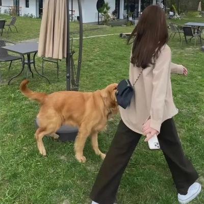 纽伦堡